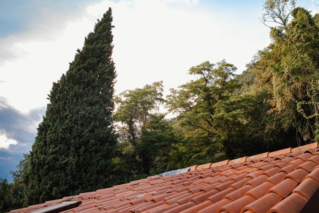 Villa Bertacchi - inside&out Côme Esterno foto